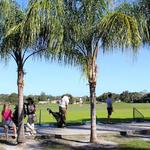 Evie’s Tavern & Grill on Bee Ridge