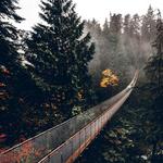 Capilano Suspension Bridge Park