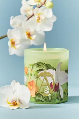 Apothecary 18 Floral Orchid & Amber Glass Candle
