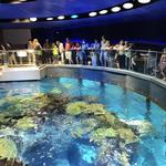New England Aquarium