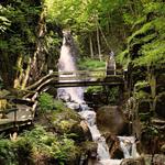 Flume Gorge
