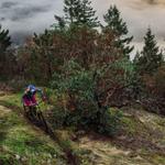 Discover Bicycles