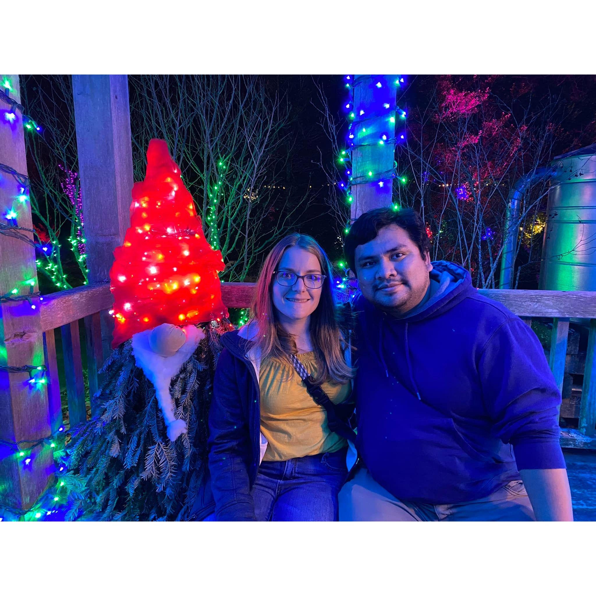 Winter Lights at the Arboretum