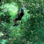 Rain Forest Canopy Tour from Tamarindo: Zipline, Hanging Bridge