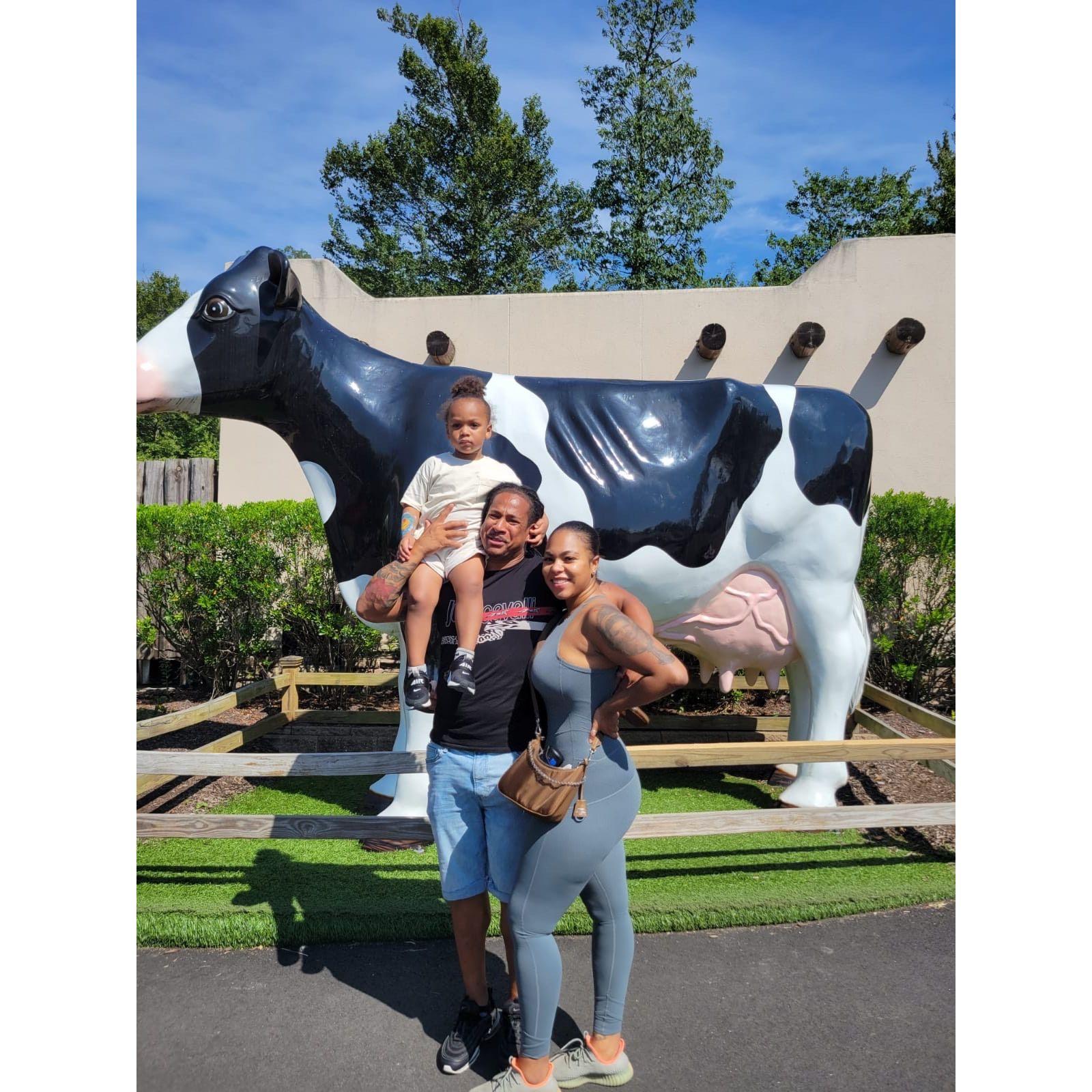 Adventures with Bash !