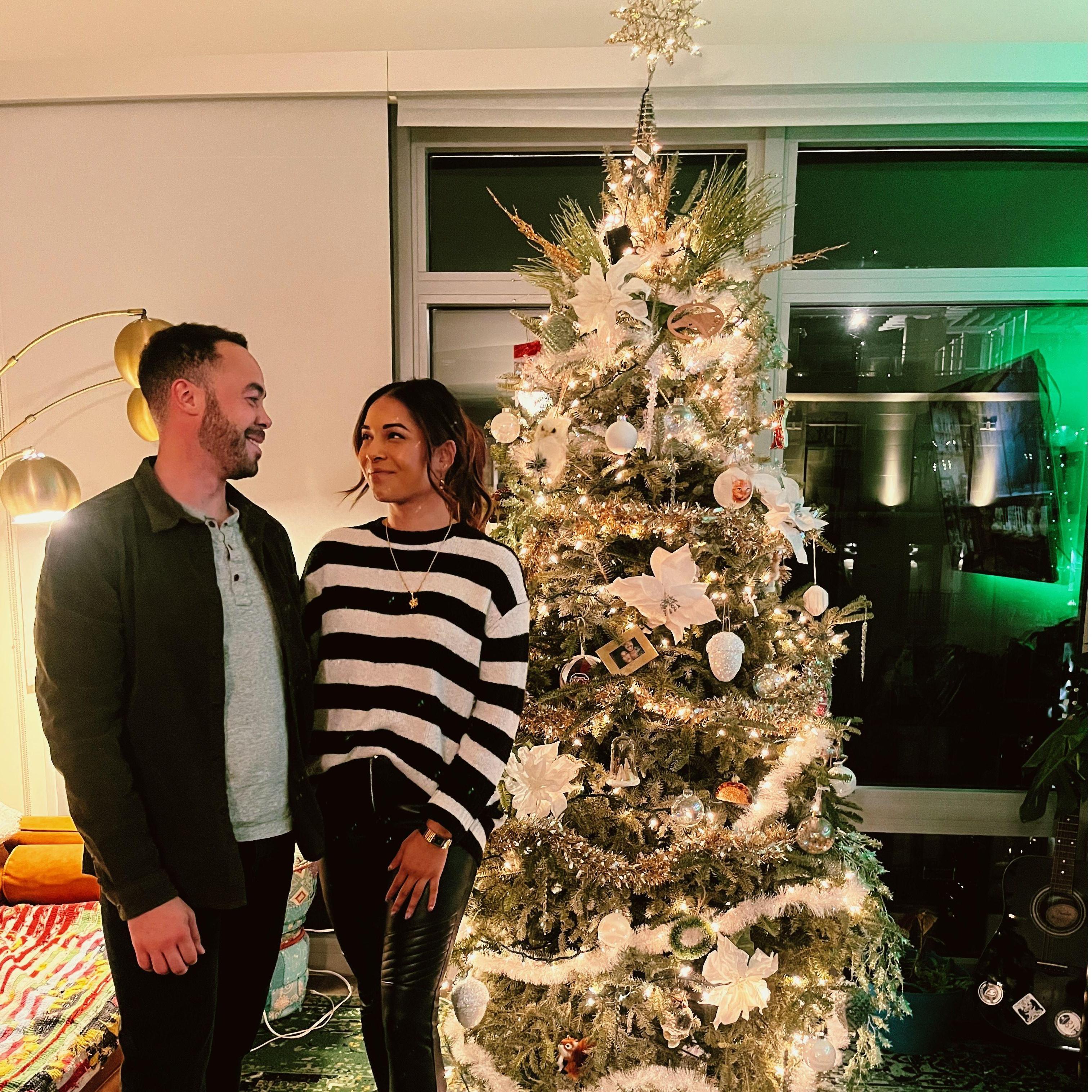 Our Christmas tree our first year in D.C.