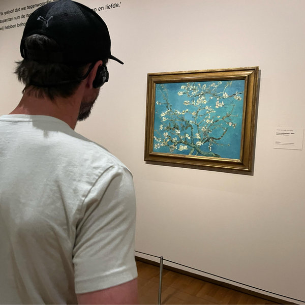 Our Art Collection