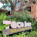 Taco Boy