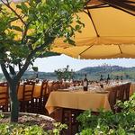 Fattoria Poggio Alloro
