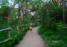 Barton Creek Greenbelt