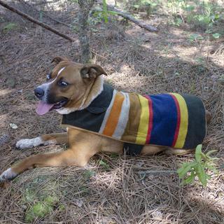 Badlands Pet Coat