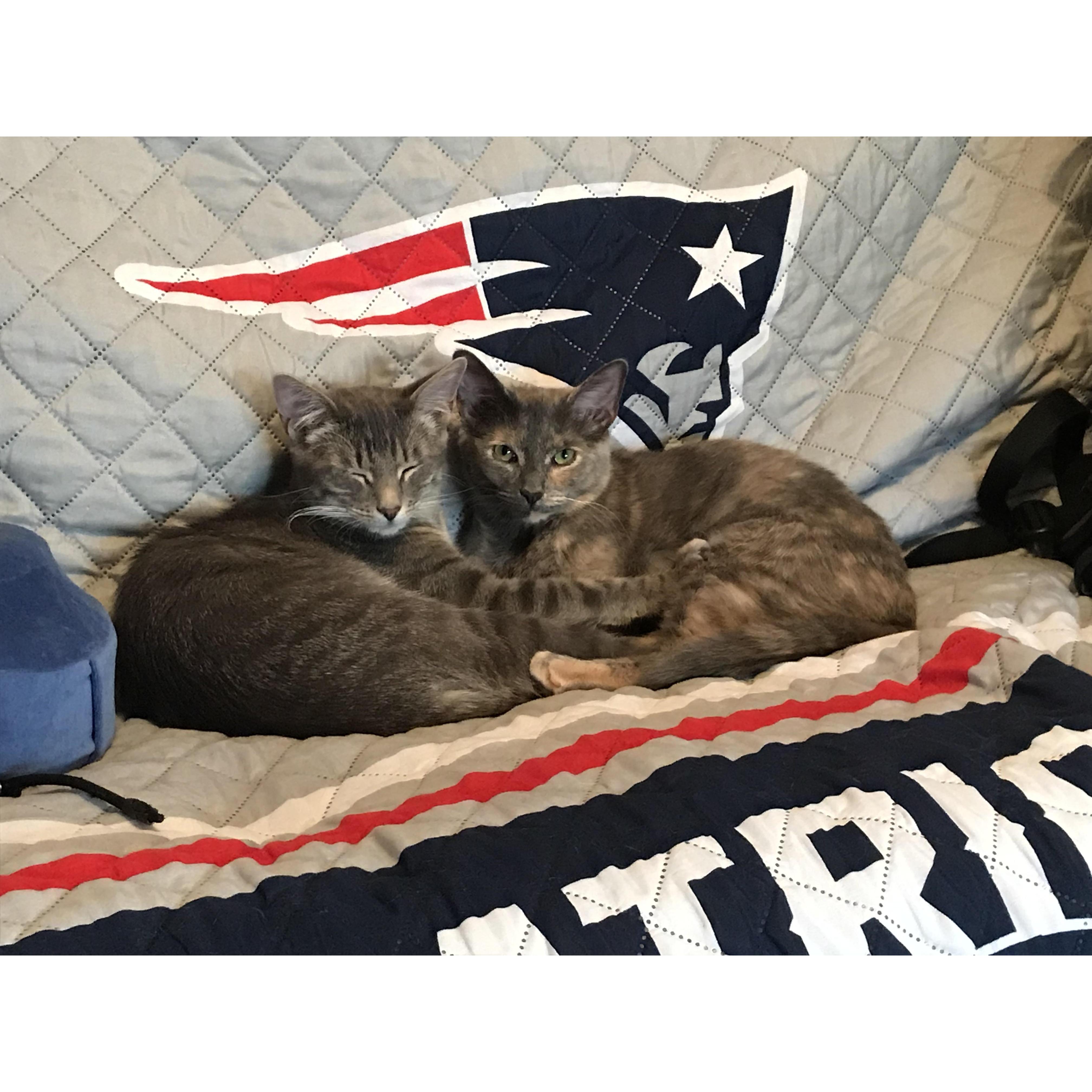 1.2019 - Our furbabies Jax & Josie!