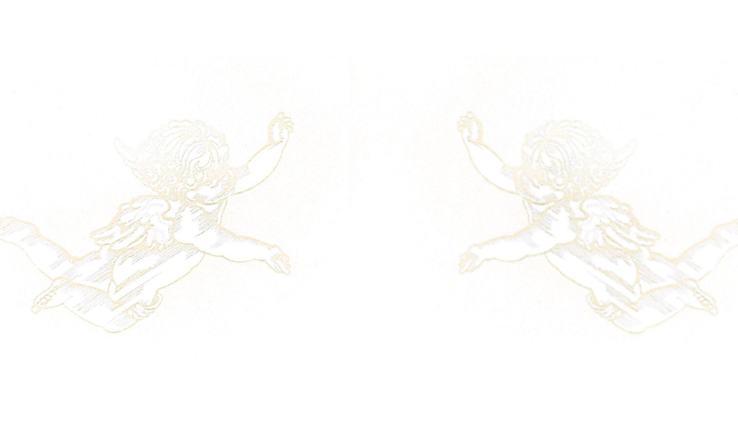 Footer image