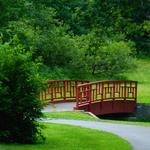 Forest Park