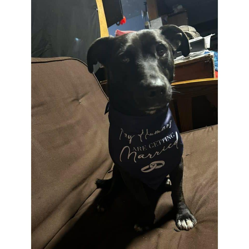 We told Ozzie we were getting married!