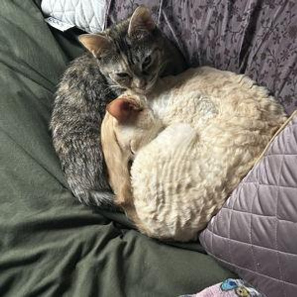 Karl and Migi Fund