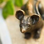 Mice on Main