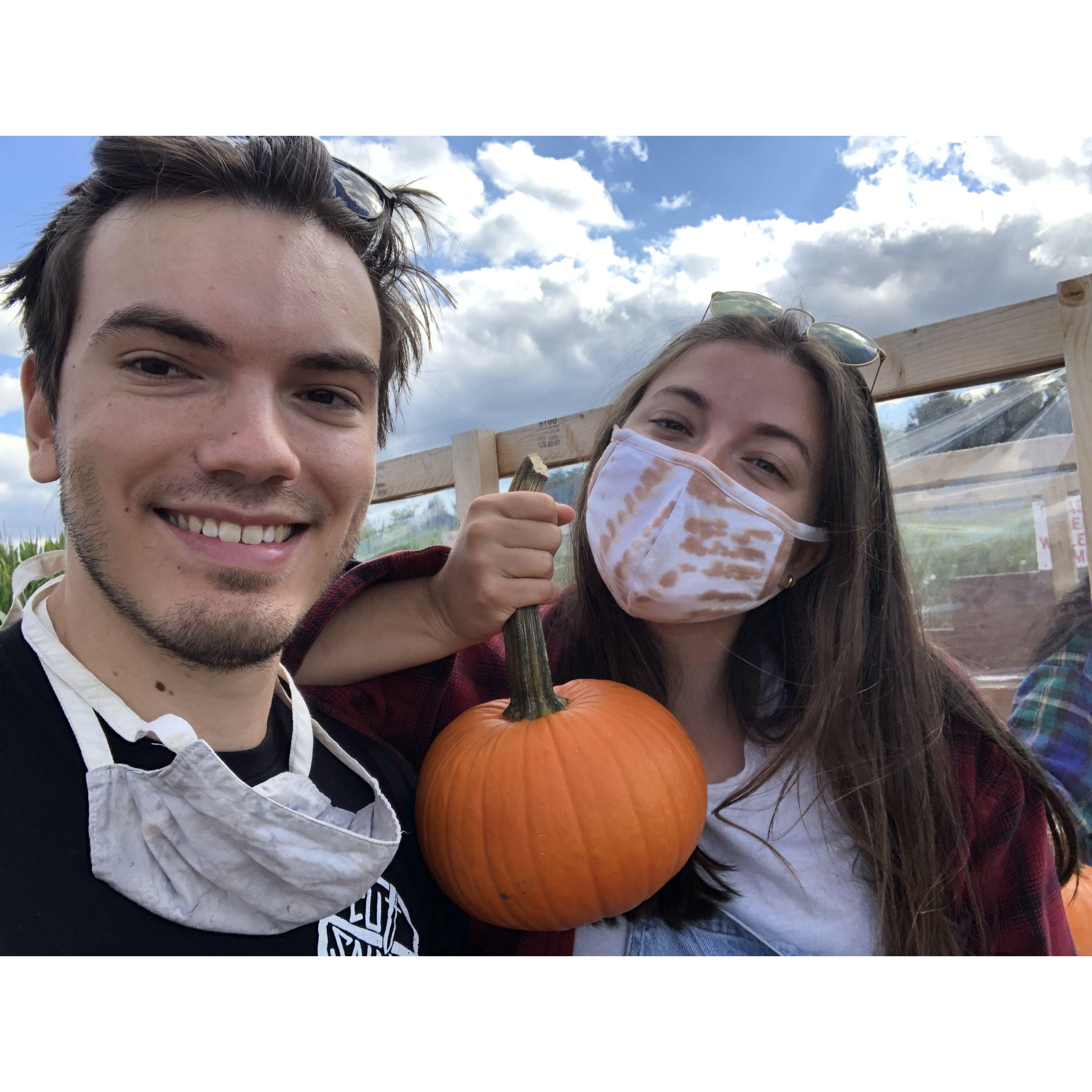 Schmitt's Family Farm 10/4/20