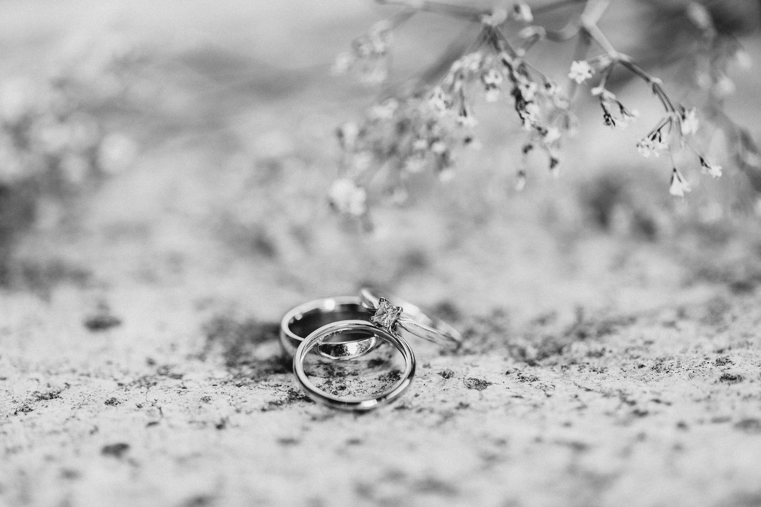 The Wedding Website of Steven Alvord and Micah Maglaya