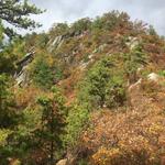 Tekoa Mountain
