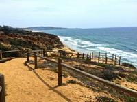 Torrey Pines State Reserve