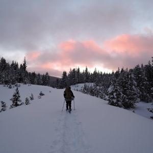 Skiing Fund