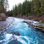 Wizard Falls Fish Hatchery