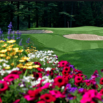 Golf at the Sagamore Golf Course, Tennis & More