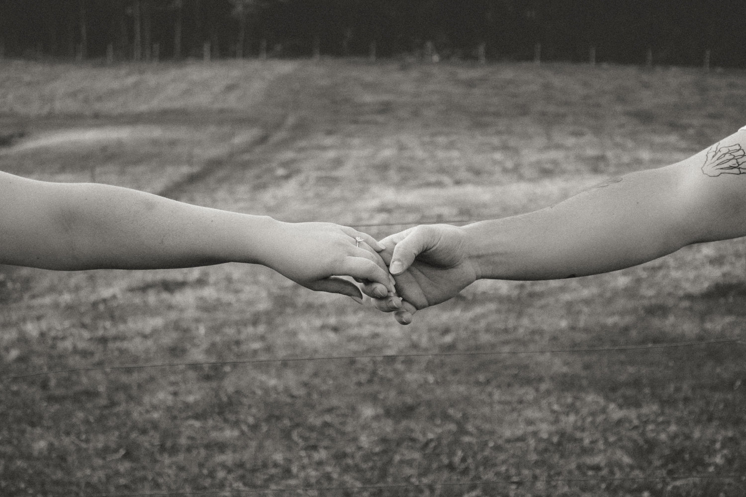 The Wedding Website of Marisa Forbes and Tyler Christmas