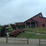 Vineyard 2121