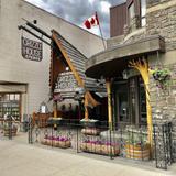 The Grizzly House