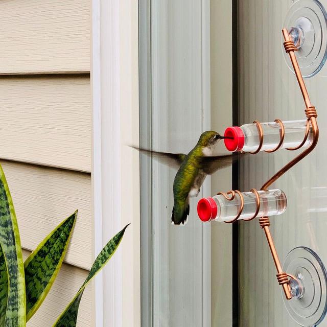 Geometric Window Hummingbird Feeder |...
