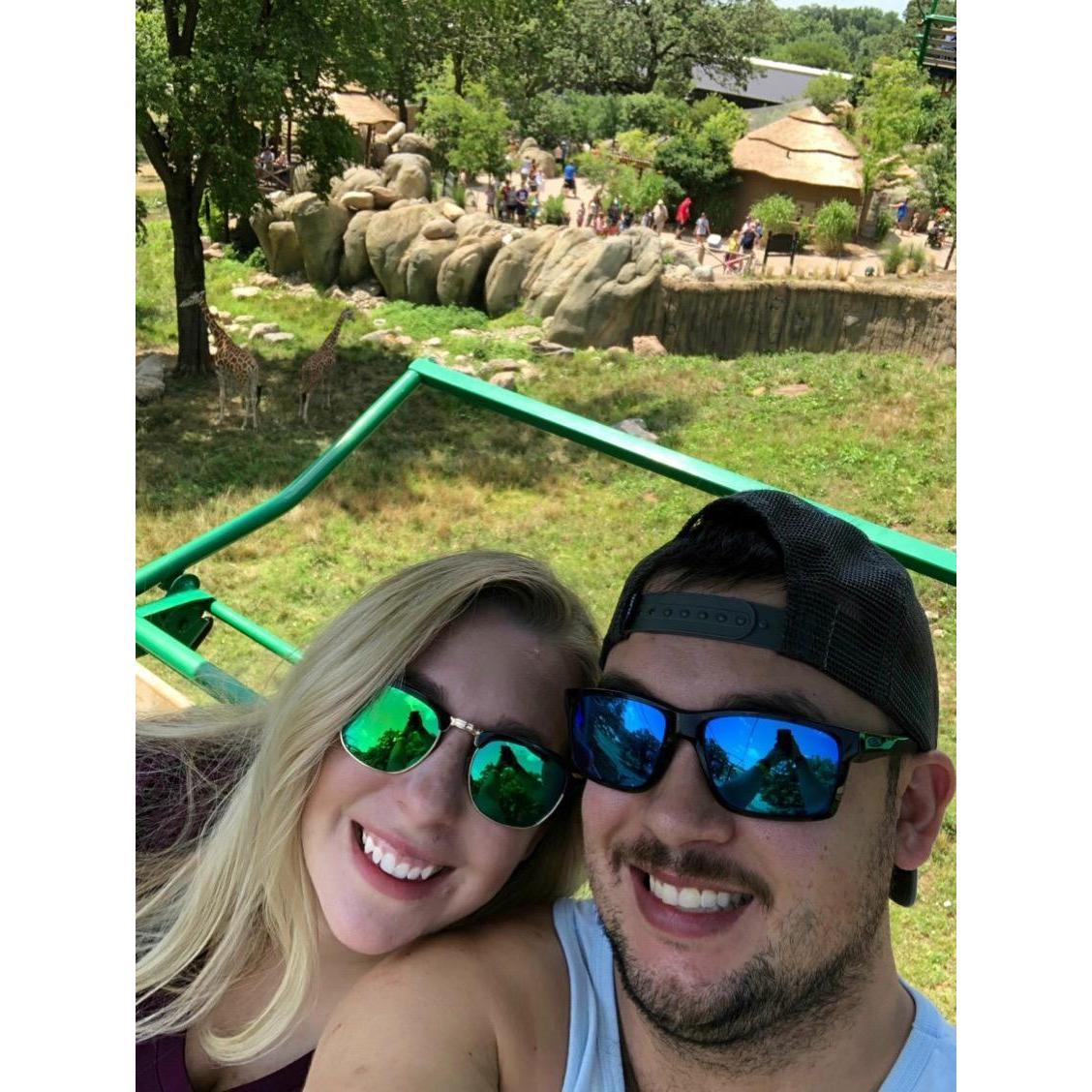 The Omaha Zoo, 2018 - peep the giraffes in the background!