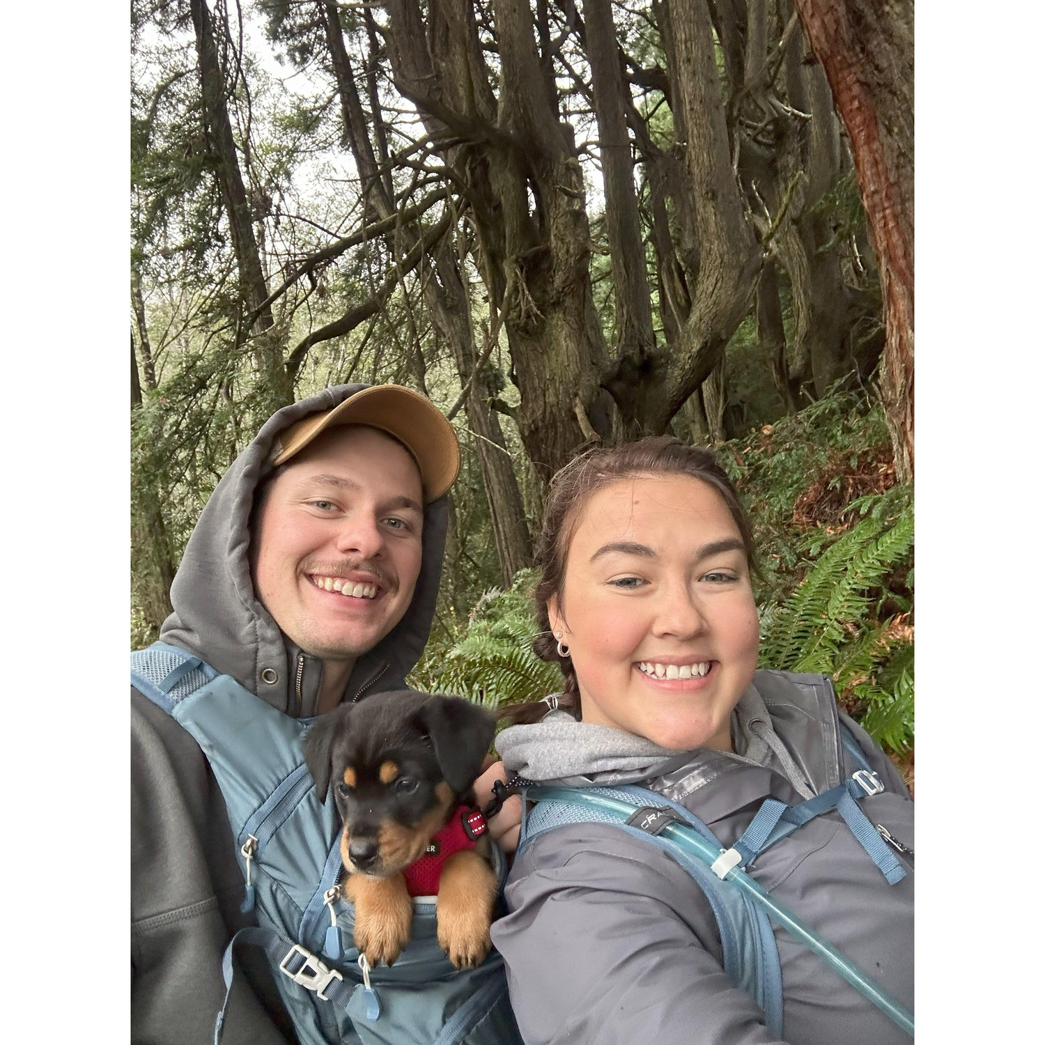 West Port Beach Hiking Trail