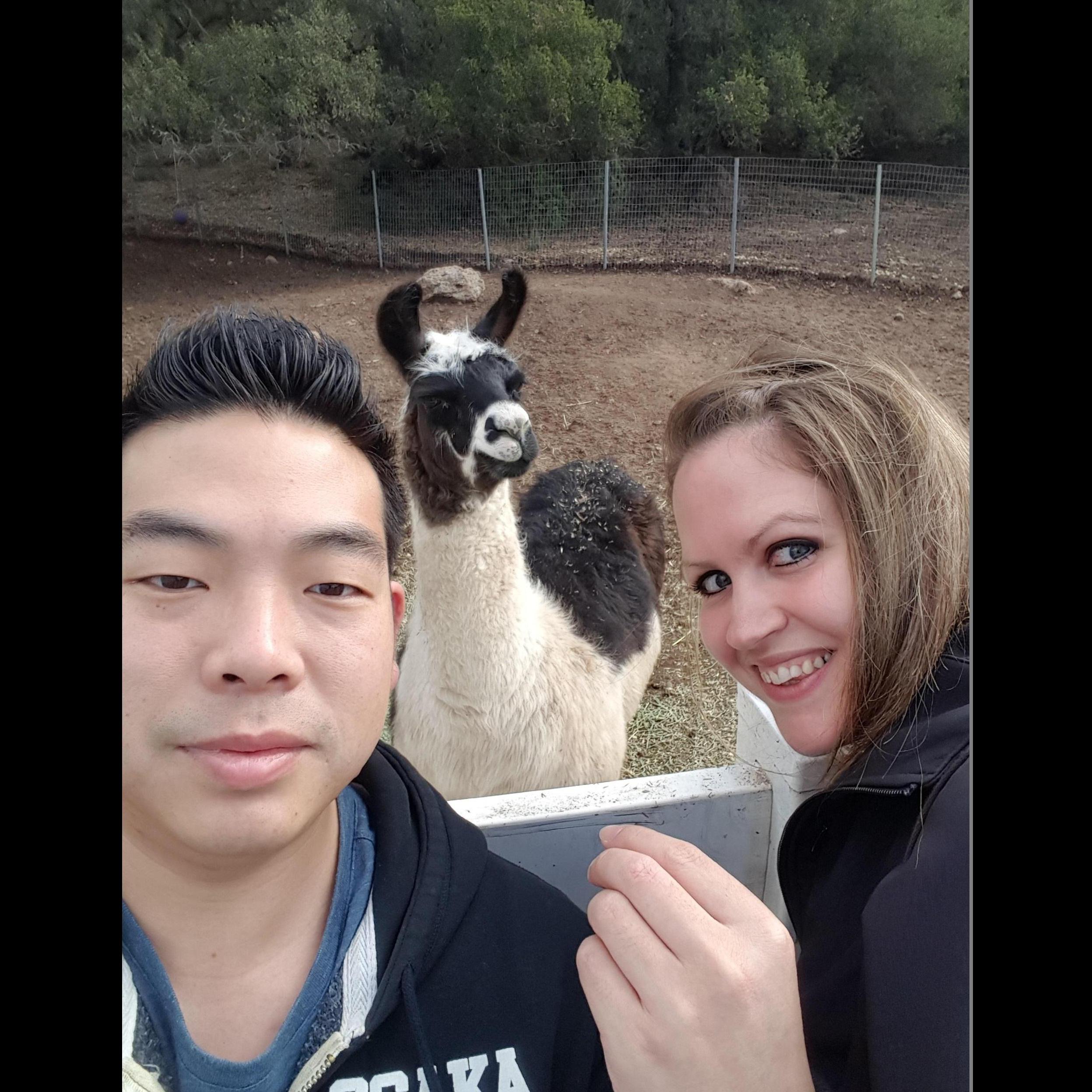 Malibu Safari Wine Tour