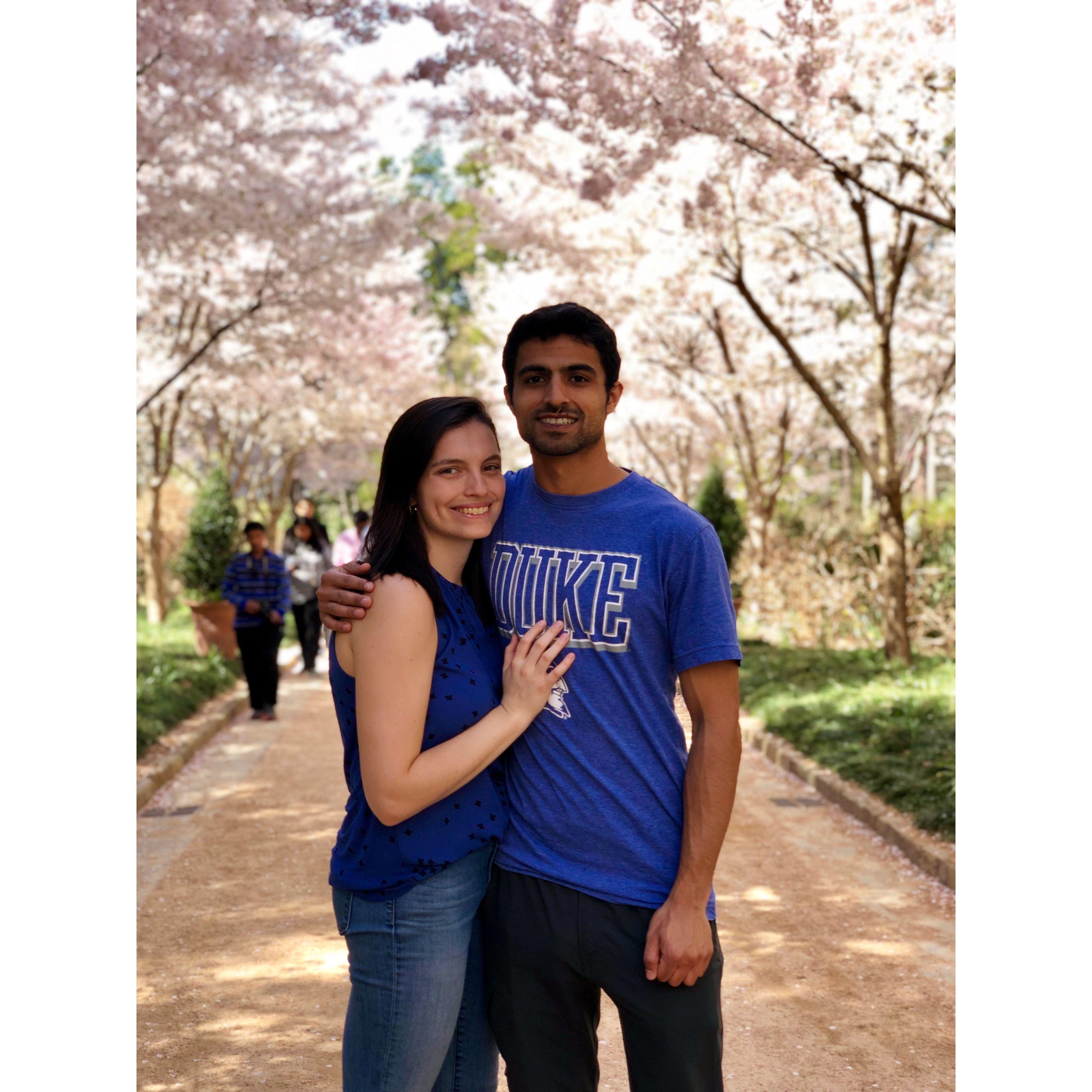 We love visiting the Duke Gardens in the spring. The cherry blossoms are always so beautiful!