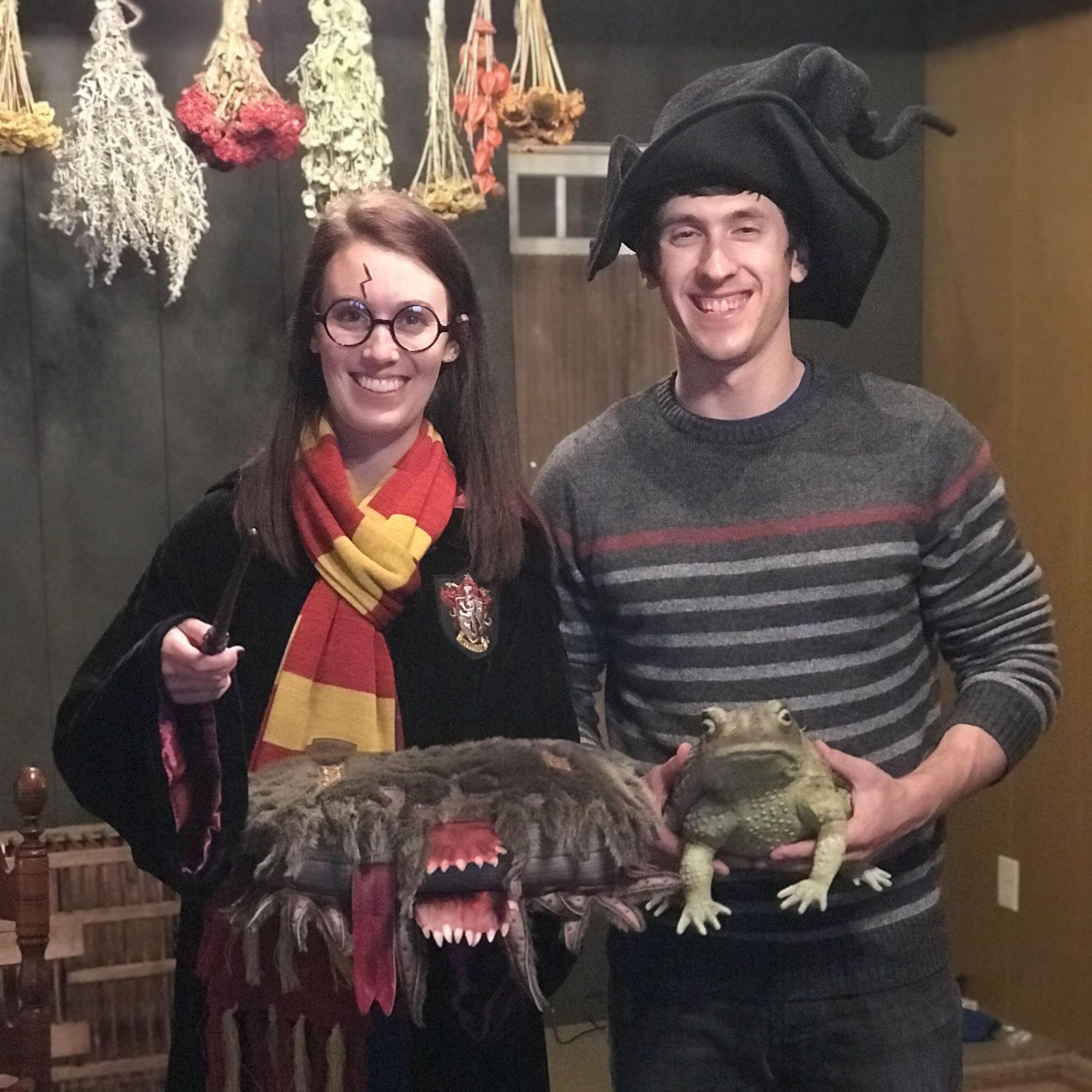 This was just a normal Tuesday.
