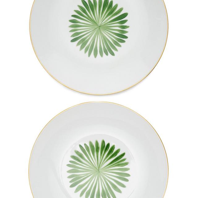 Set-of-Two Allée de Cyprès Porcelain Salad Plate Coupe Set