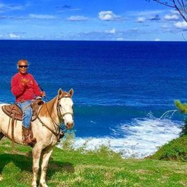 West Maui Mountain Waterfall and Ocean Tour via Horseback