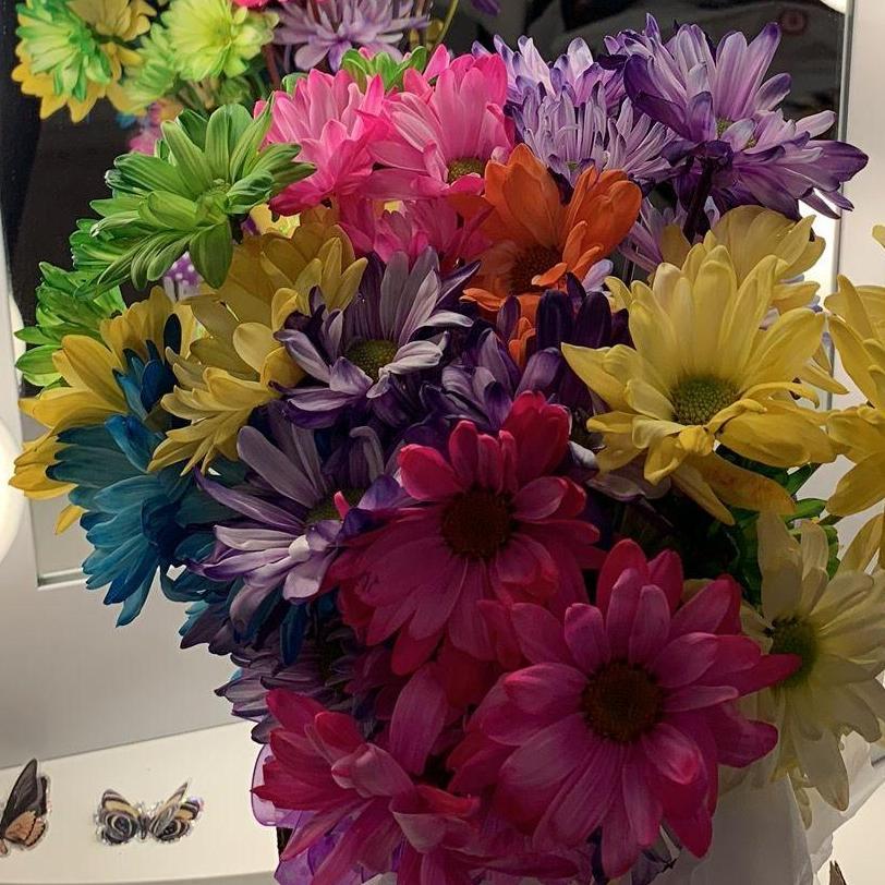 The flowers that Kyle gave to Sophia when he asked her to be his girlfriend in February of 2020!