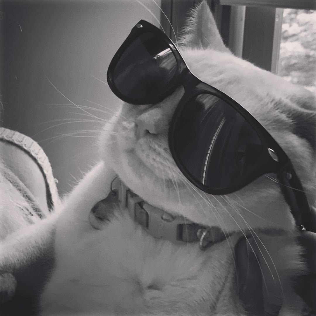 He is cooler than you.