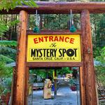 The Mystery Spot