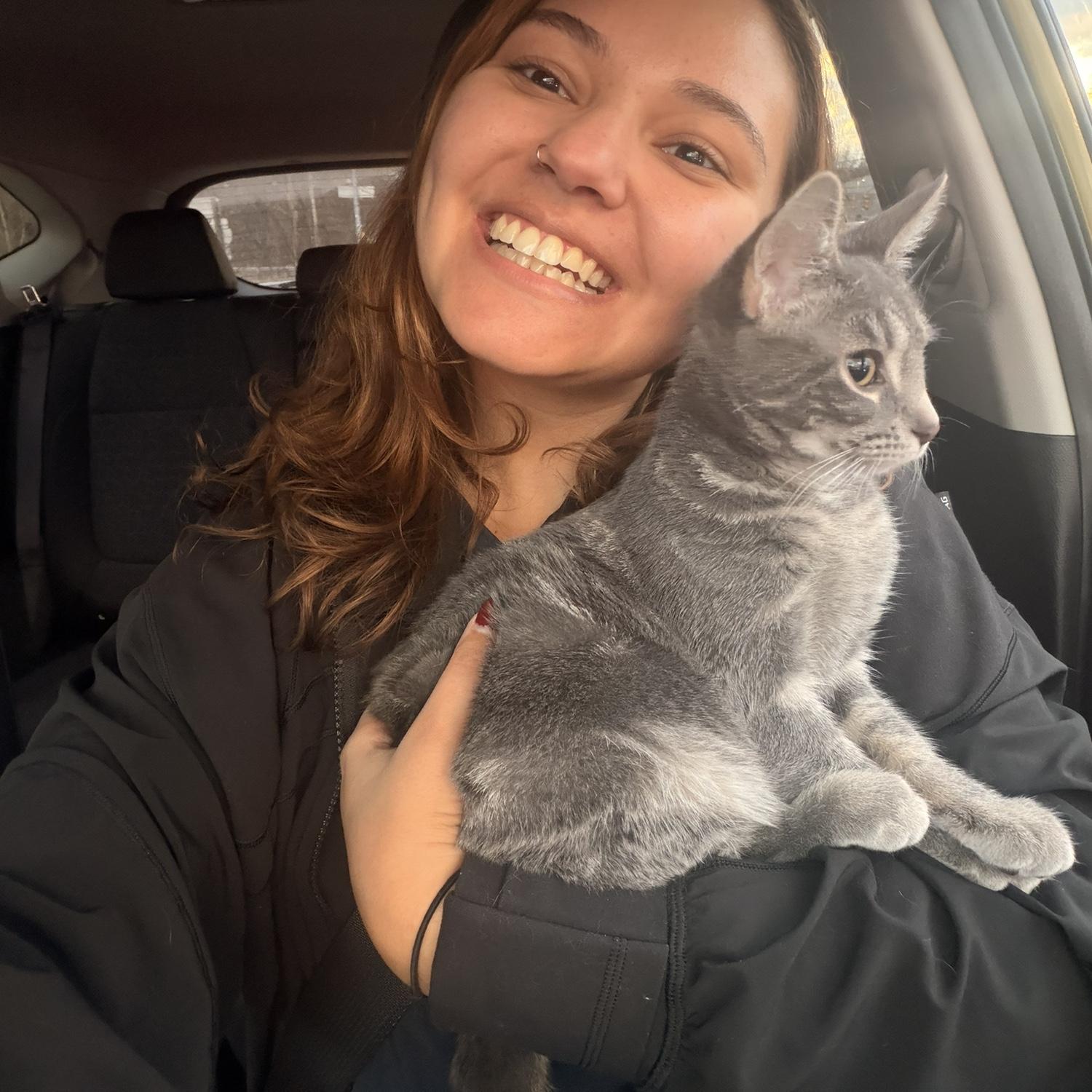 The new kitties love going in the car!