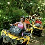 Carabalí Rainforest Adventure Park