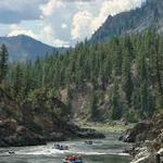 Alberton Gorge White Water Rafting