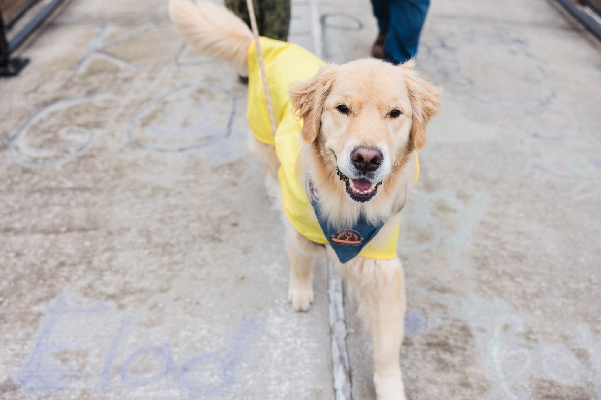 e78ba750-3603-4241-8abd-ce6abd7d9509