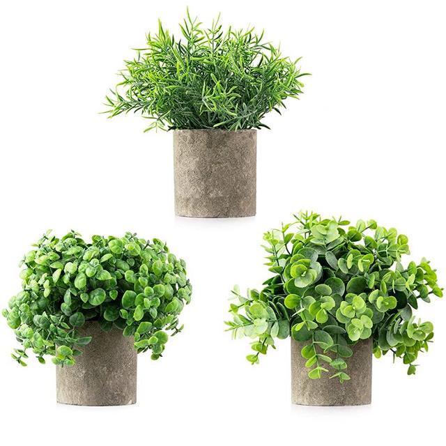Casaluxe Potted Artificial Eucalyptus, Boxwood and Rosemary Plants, Set of 3 – Two-Toned Plastic Fake Greenery in Cement-Colored Paper Pulp Pots – Stylish, Modern Farmhouse Decor, 7 x 8 inches