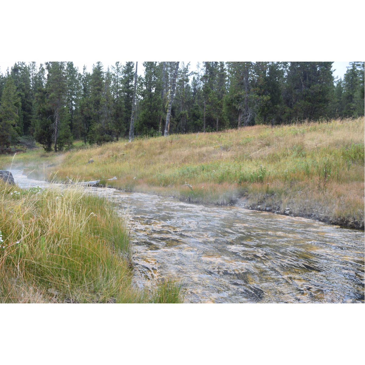 Natural hot spring!