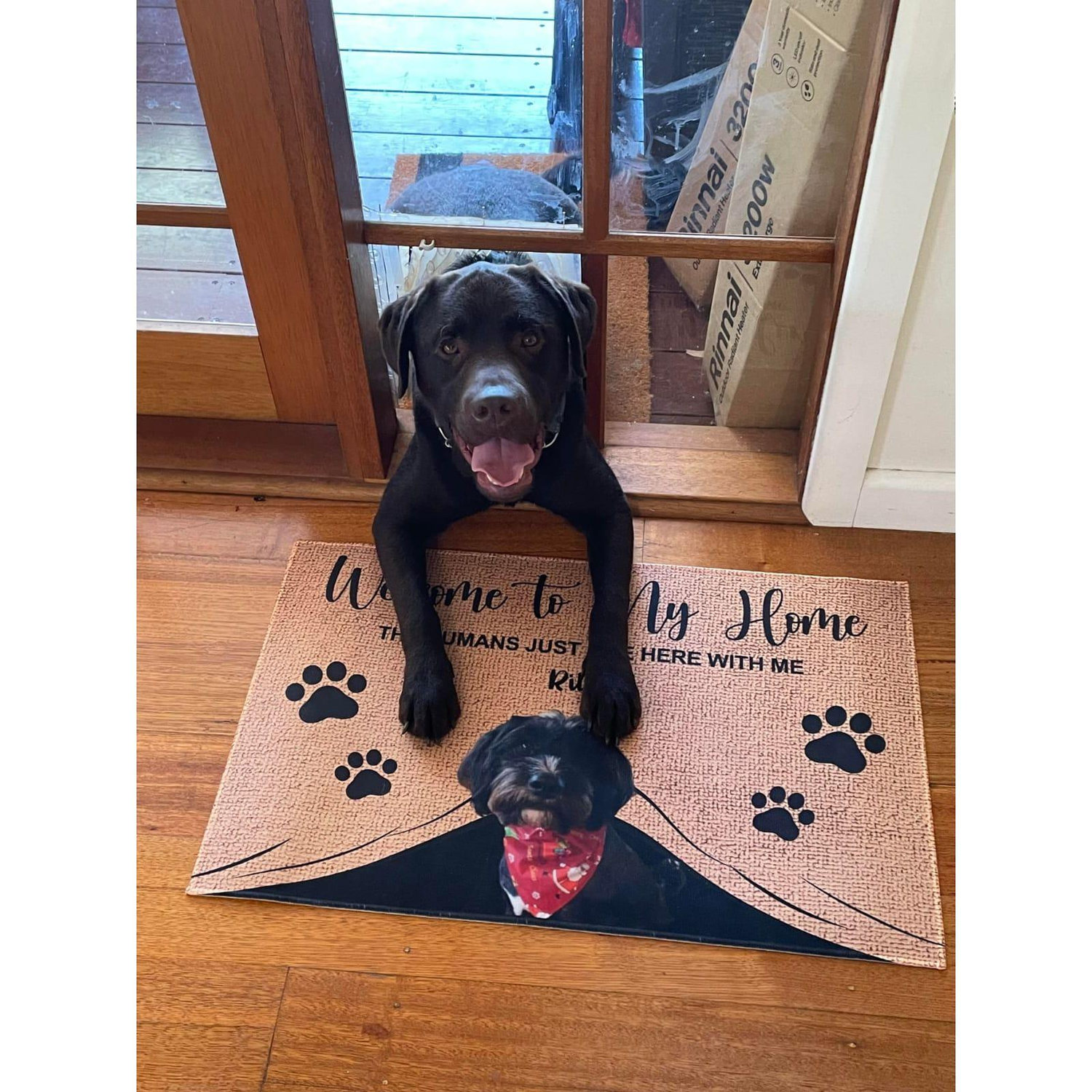 Charlie sized dog door, 2022