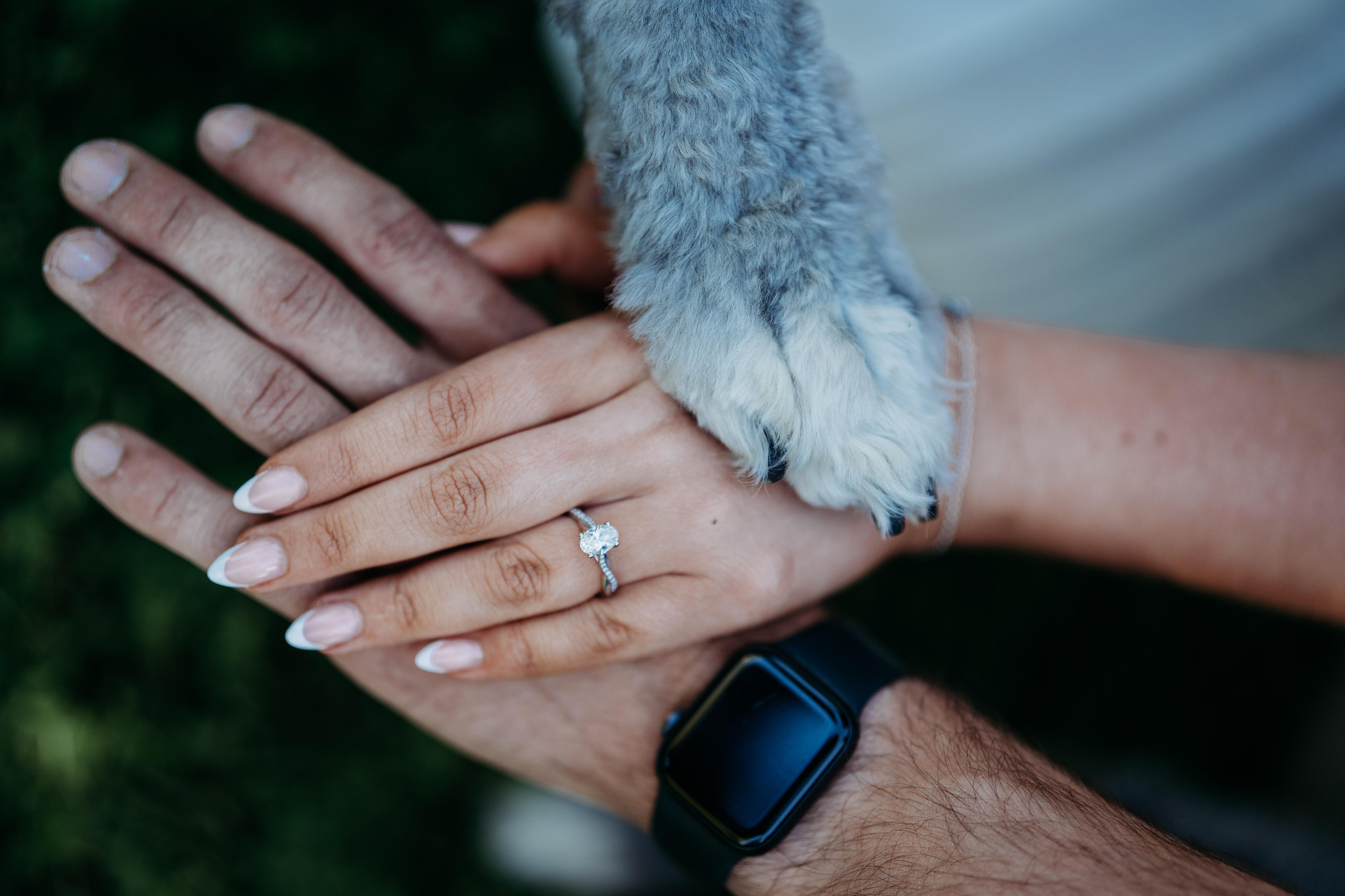 The Wedding Website of Alicia Beebe and Kevin Lincoln